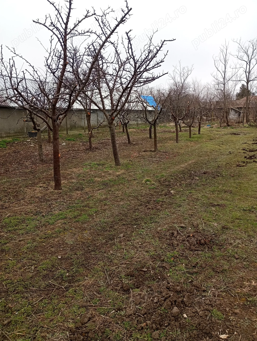 Teren intravilan Boldești Gradiște 