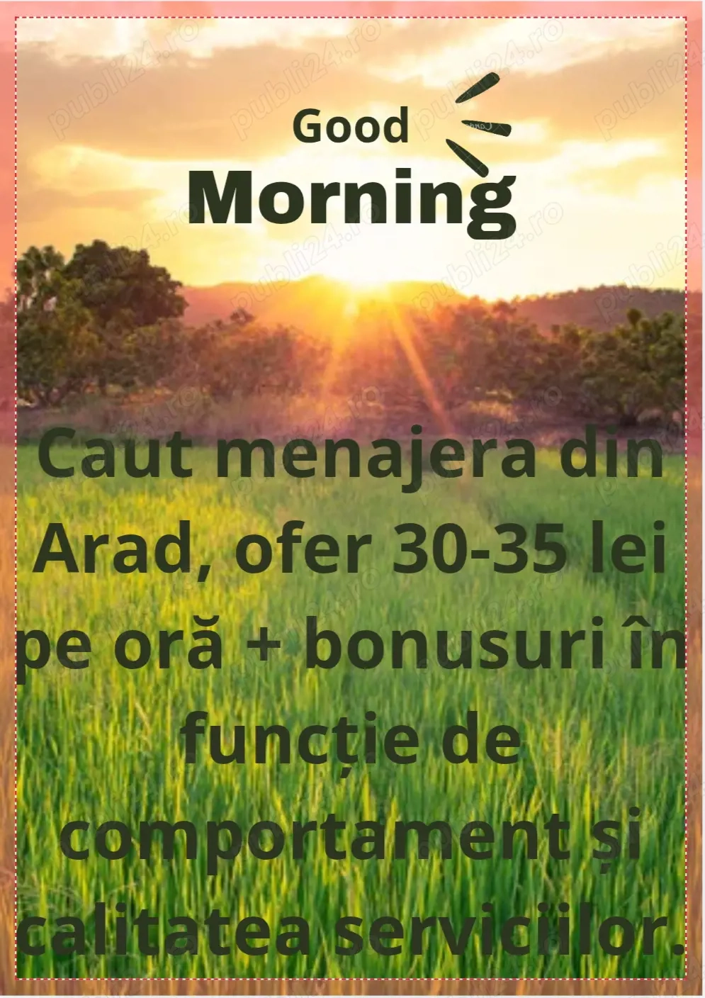 Manager Menaj - Personal de Curatiene -