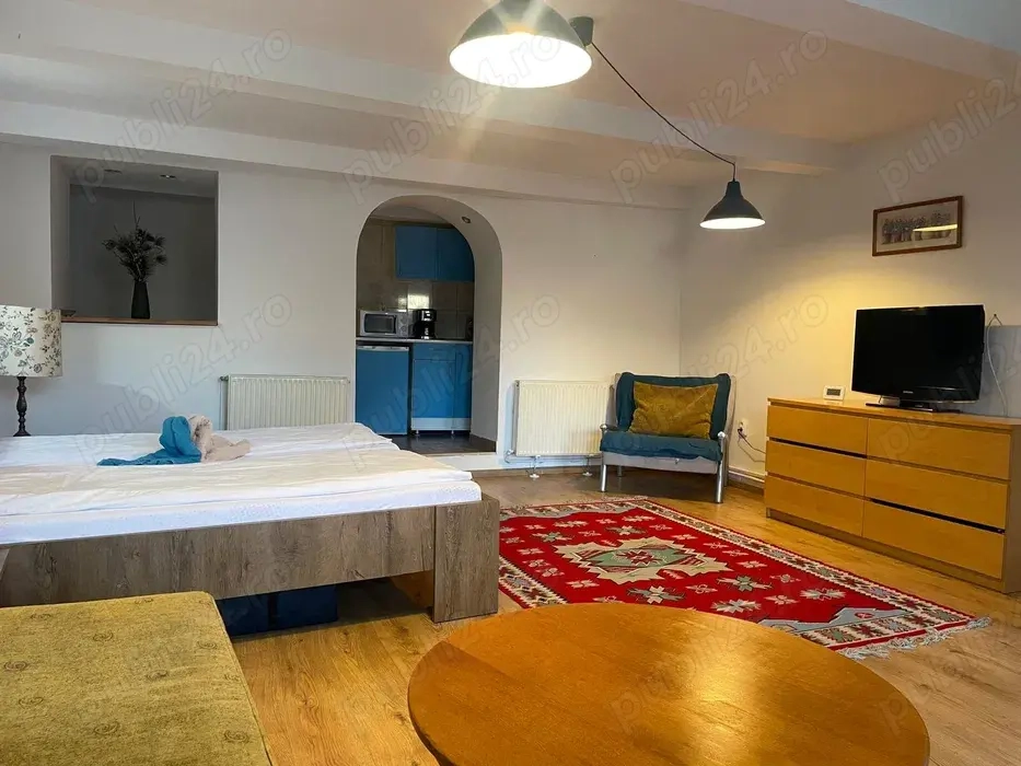 Garsoniera Apartament Studio Ieftin regim hotelier hotel pensiune Sibiu centru 1 2 3 4 5 Persoane