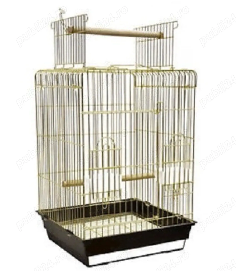 cusca perusi papagali