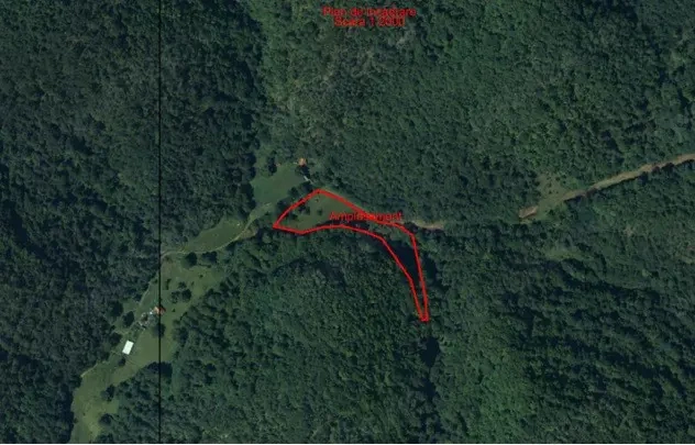 Teren cu acte la zi în mijlocul naturii 