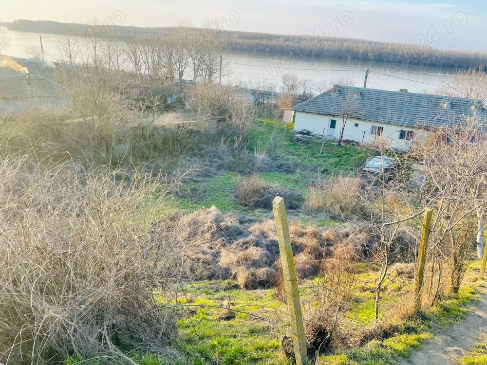 Teren intravilan 3.750 mp Rasova, aproape de șosea