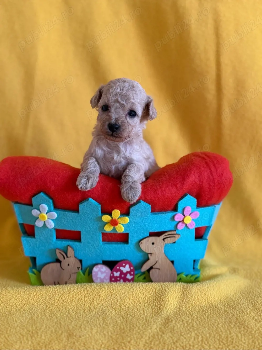 Fetita Poodle Toy 