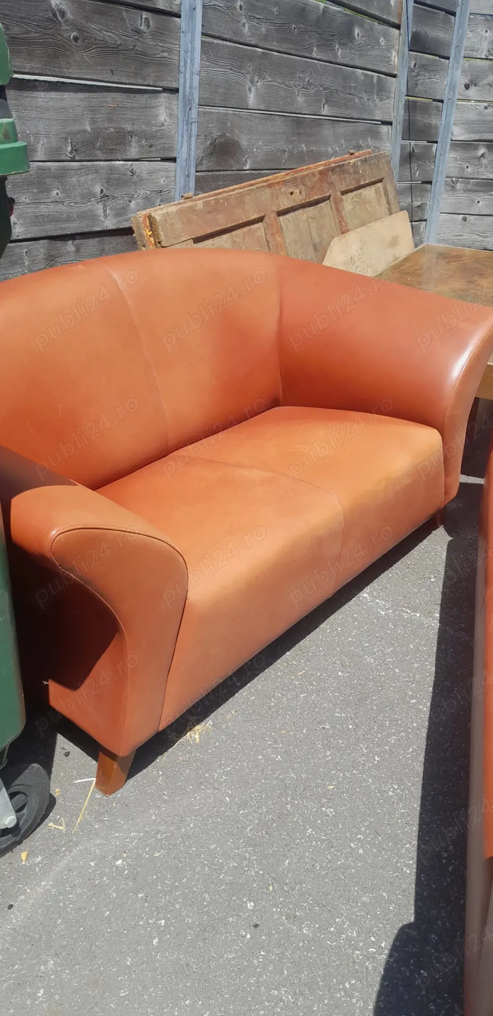 Canapele imitatie piele..