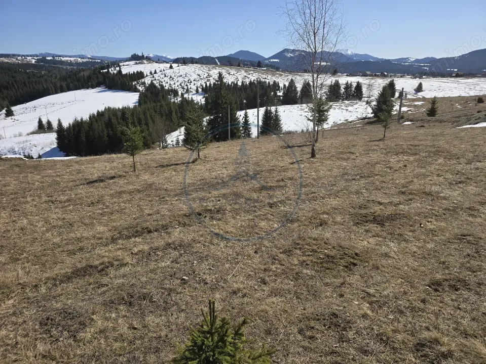 Teren intravilan 1500 mp – Zonă deosebită, Piatra Fântânele