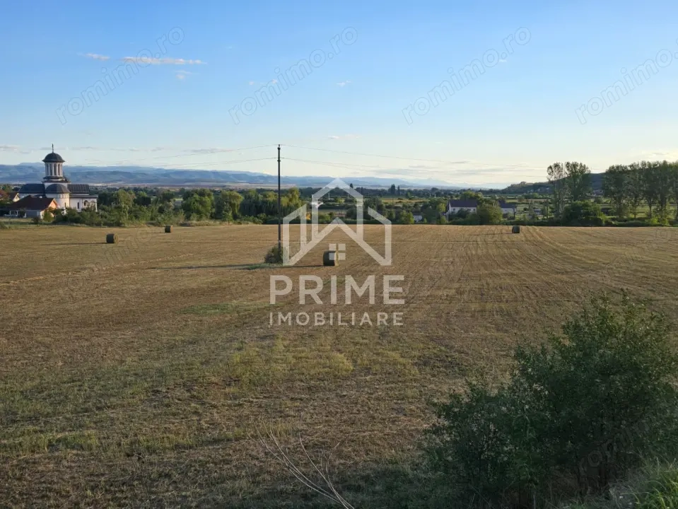 Teren intravilan 10200 mp, utilitati la limita parcelei - Alba Iulia
