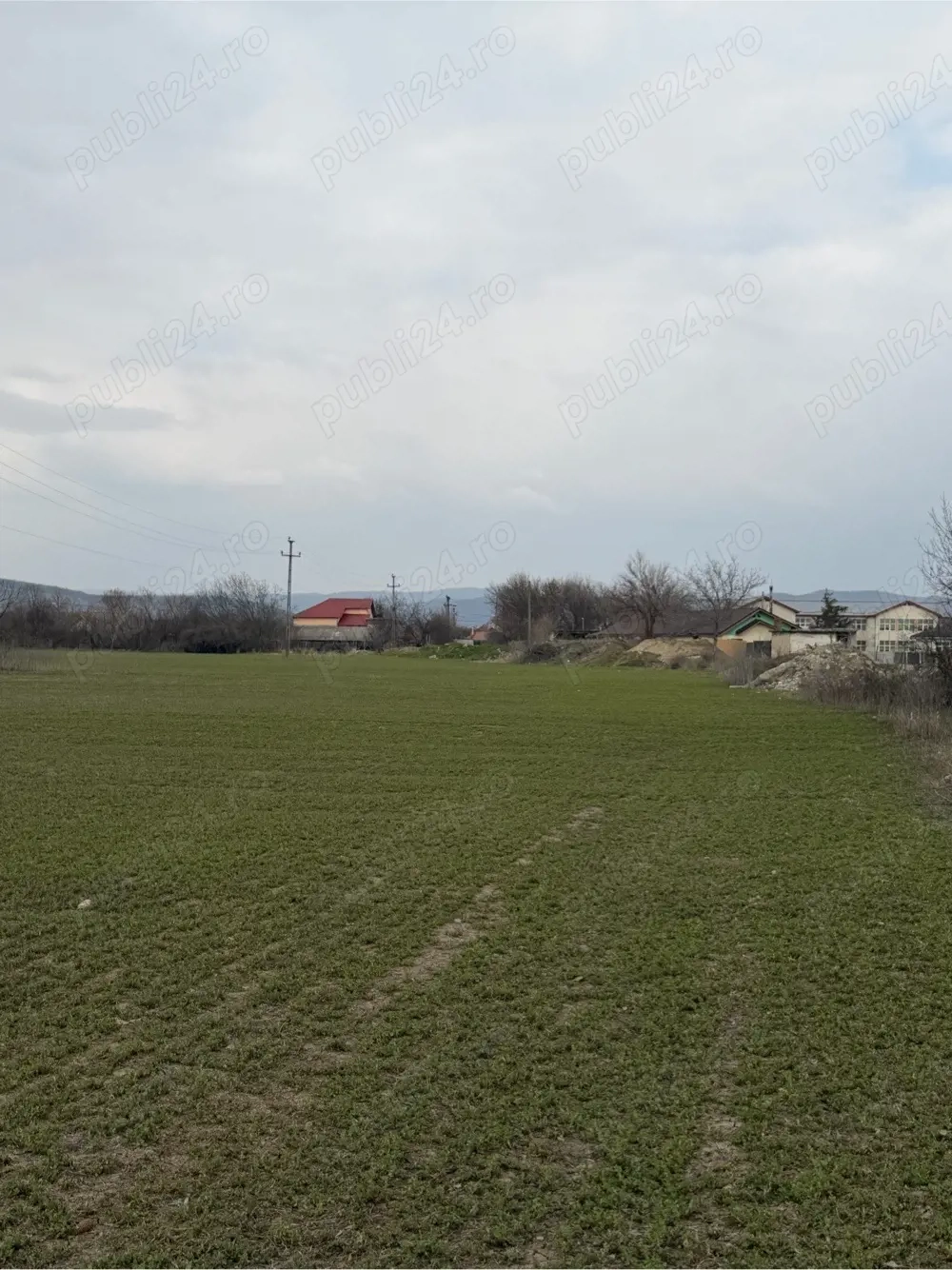 10000 mp teren intravilan Vernești, Buzău