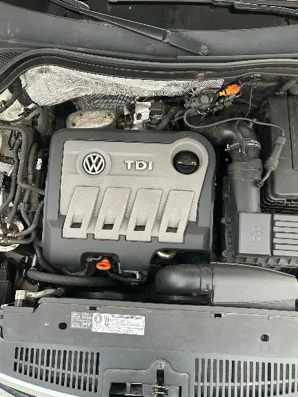 Vind Tiguan