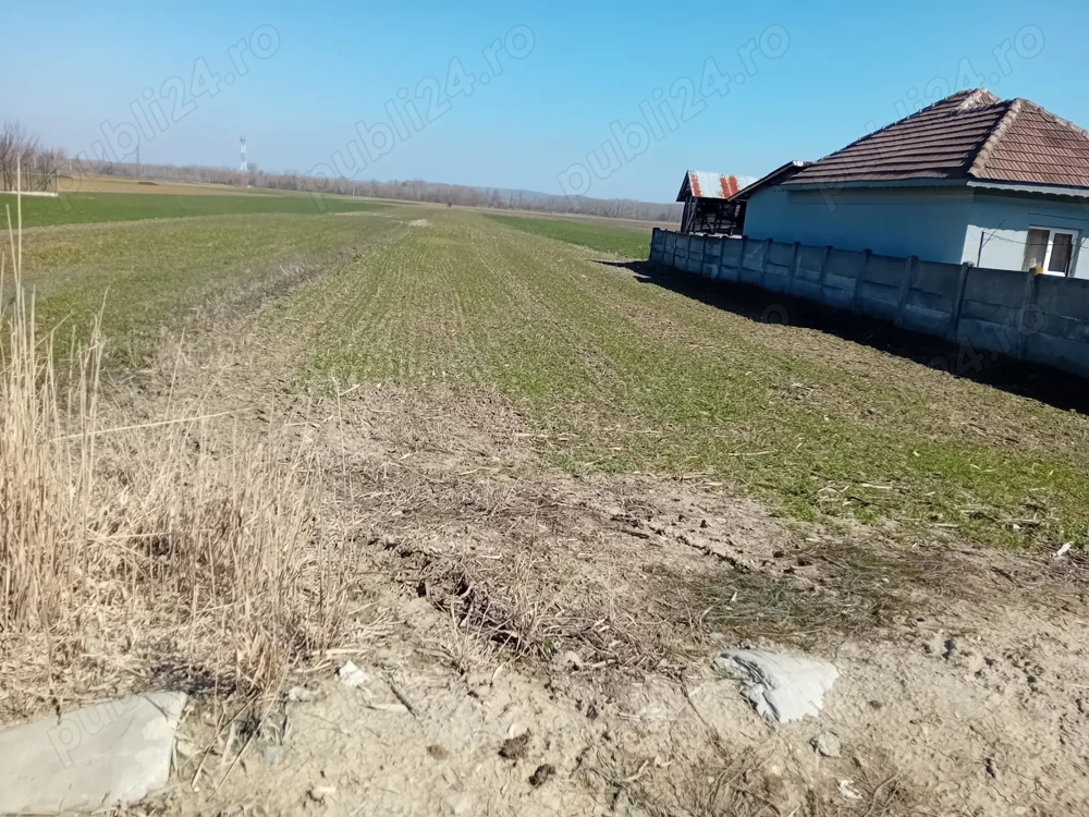 Se vinde Teren , Sat Balta - DOLJ 