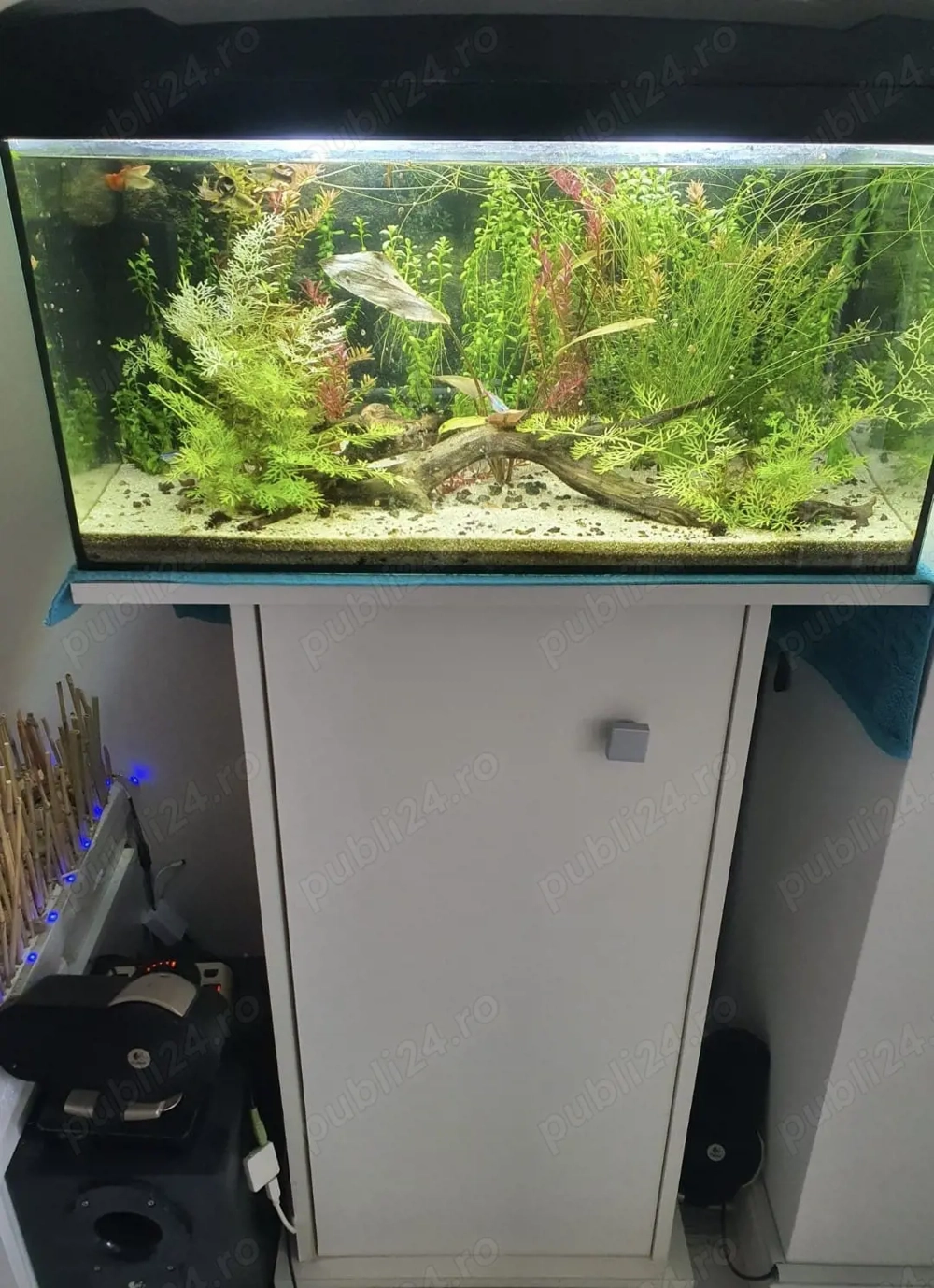 Vand acvariu 60l cu suport pret negociabil