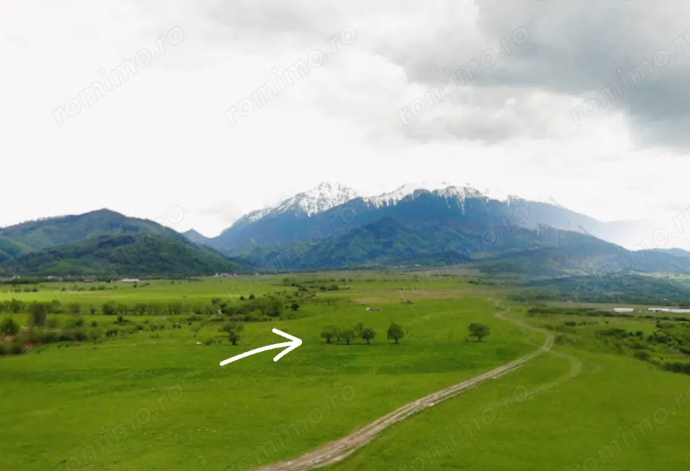 Teren 10.000 mp între Râșnov și Bran   vedere spectaculoasă Bucegi   ideal cabane turistice   invest