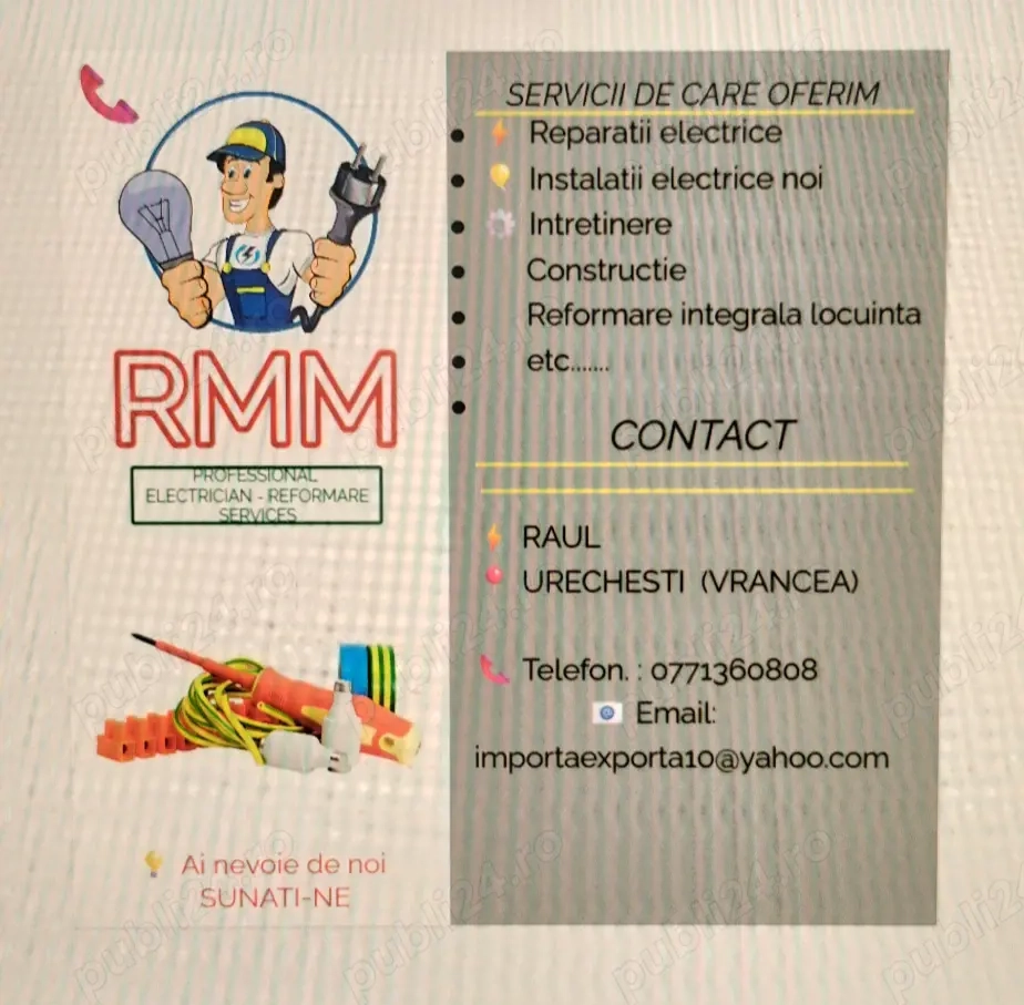Servicii profesionale 