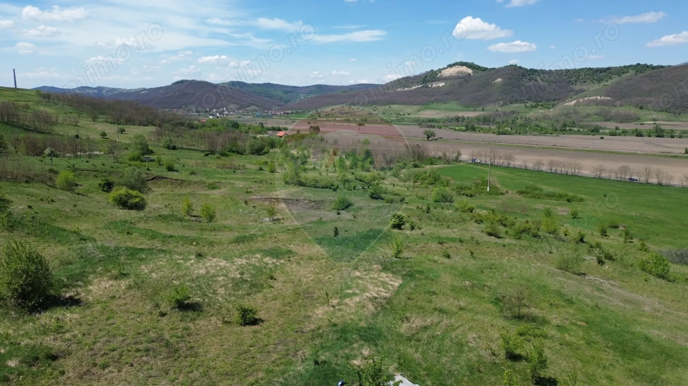 Domeniu - 66 Hectare - Teren deosebit Copsa Mica cu deschidere la DN14