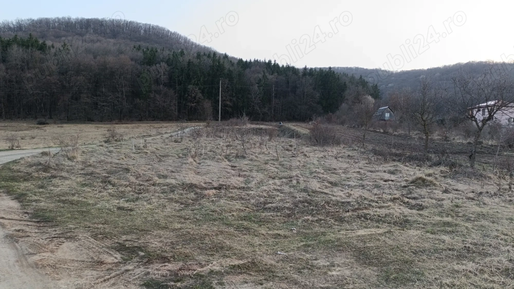 vand teren intravilan 1000m2