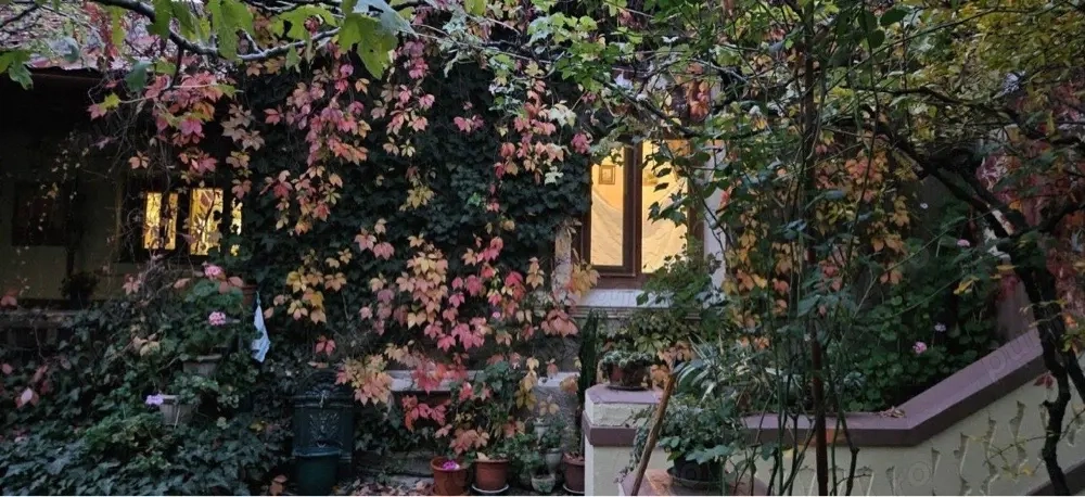 vand casa zona Alunis, suprafata teren 450 mp