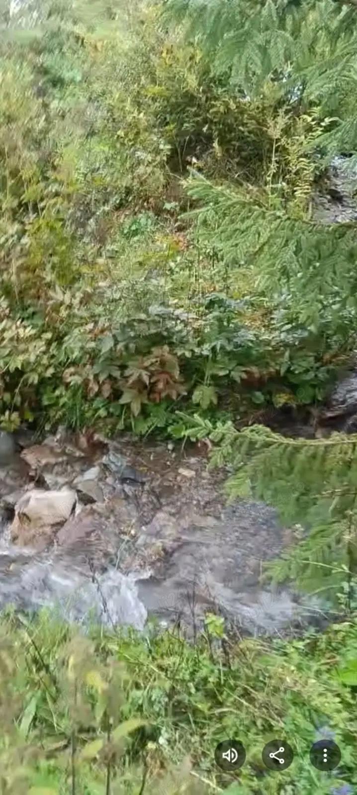 Teren de vanzare Dorna Arini