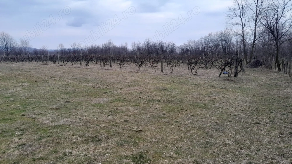 Vand teren intravilan