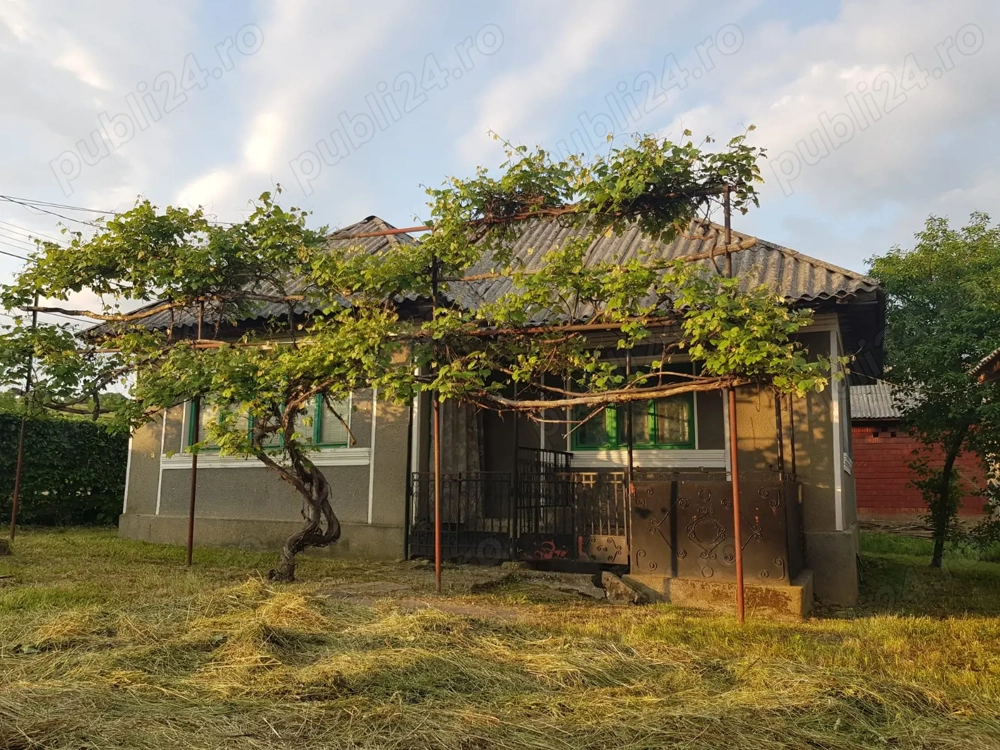 Casa 40 arii de teren in loc.Trestia la 26km de Baia Mare 36.000 Euro