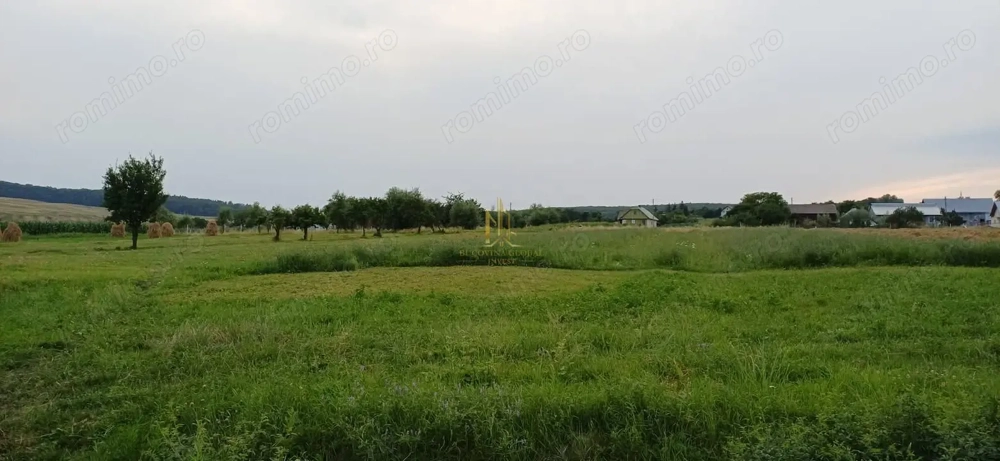 Teren de vânzare în Ilișești- 2900 mp, super preț!