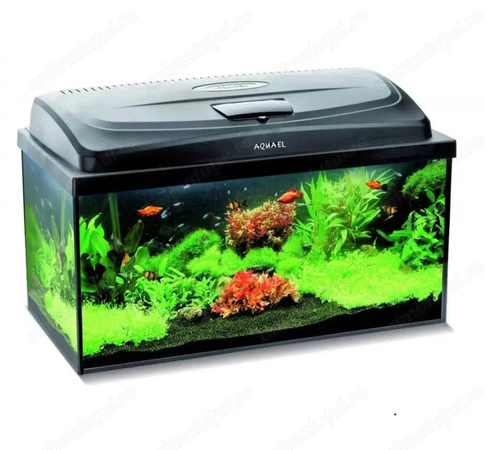 AQUAEL Acvariu echipat AQUA4START 60x30x30cm, 11W, Led 54L