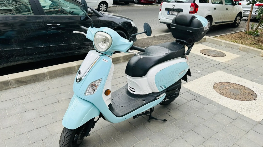 Scuter Fiddle III  Sym 50 cm 