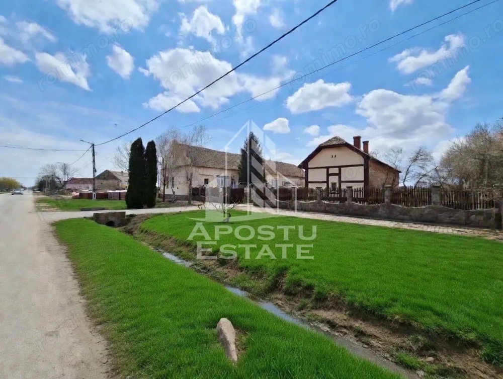 Casă spațioasă cu 2 locuințe și teren generos de 5.755 mp în Șandra