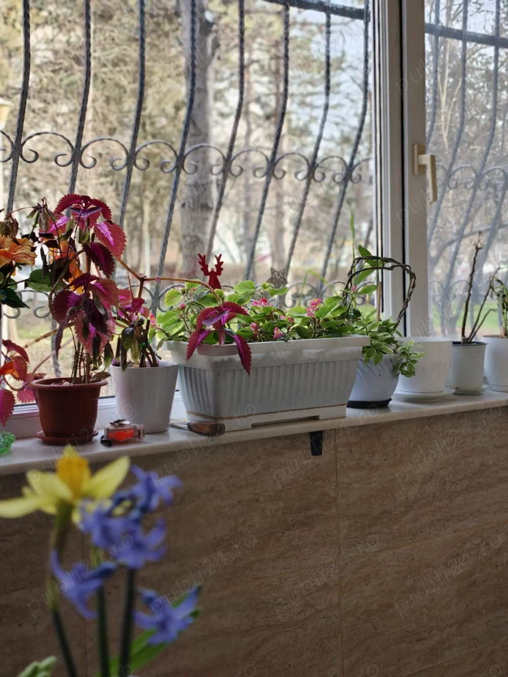 Vând apartament 3 camere decomandat