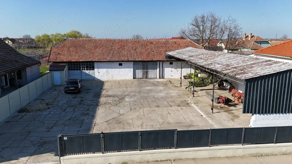 Dudestii Noi, Hala, Disponibila imediat