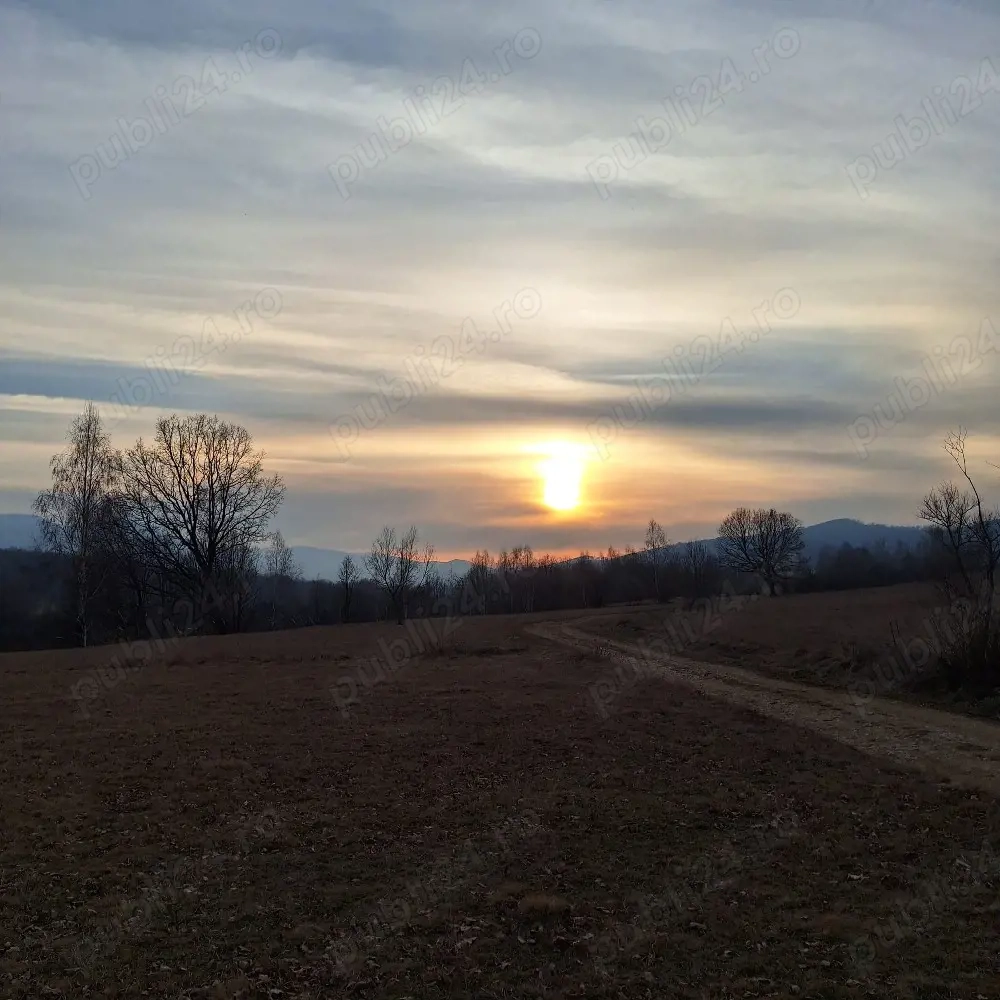 Vind teren etravilan