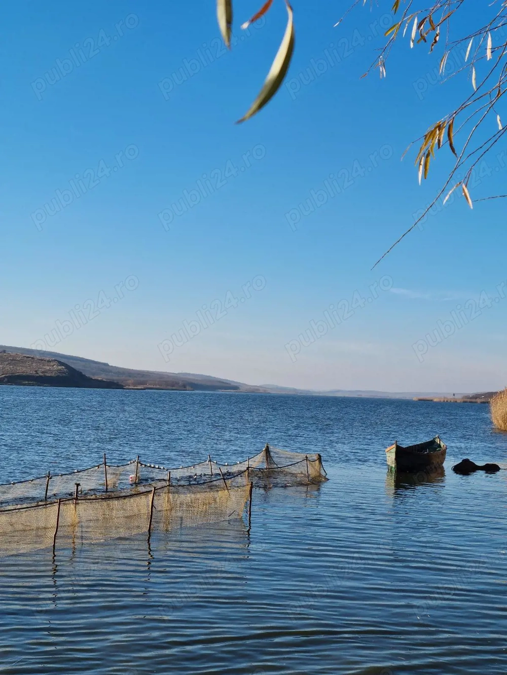 Peste -  crap, sanger, novac, caras