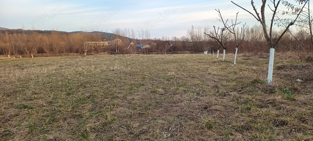 Teren Intabulat Intravilan cu Nr de Casa ,drum Privat 4600 mp