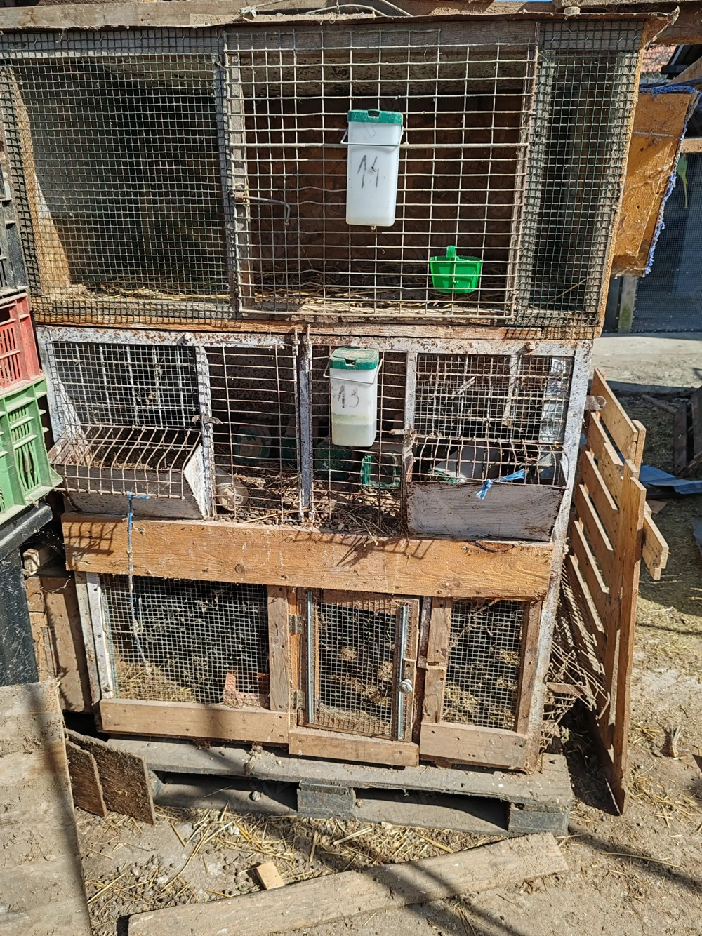 Vând cușcă pentru iepuri 