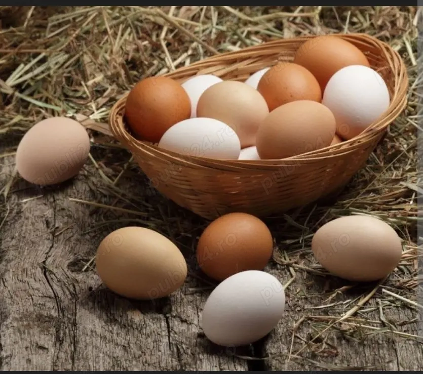 ouă de găină și de rață 