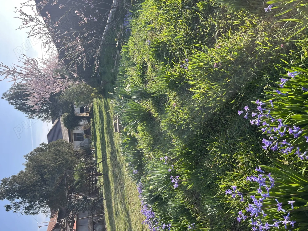 Oradea, casa de vanzare zona centrala cu vad comercial sau pentru locuit