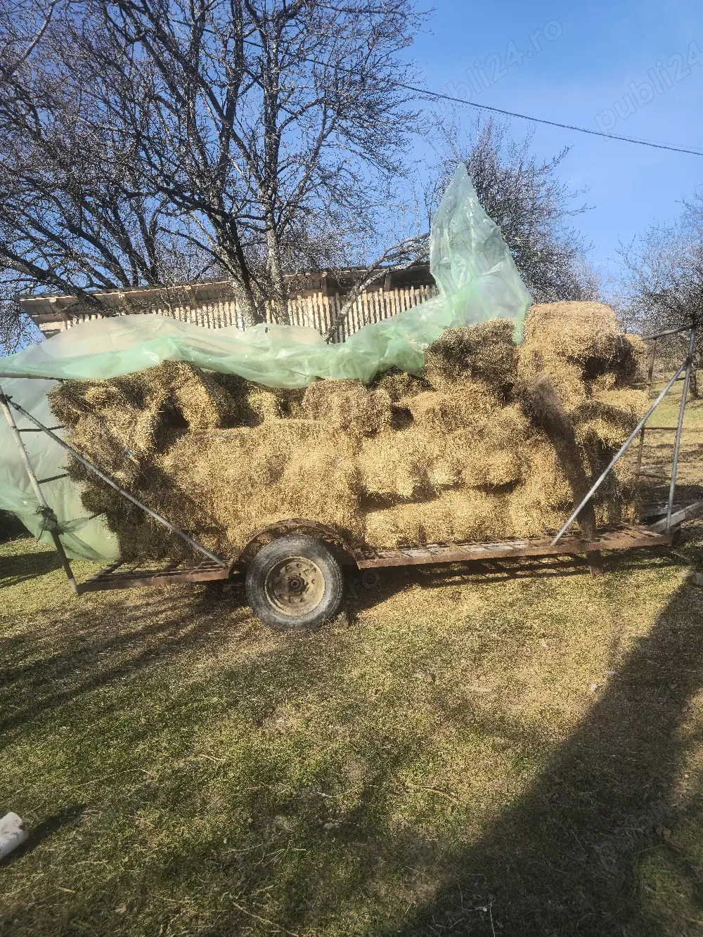 Vând baloți pătrați 