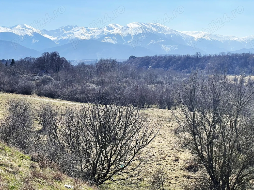 Teren de vanzare in zona turistica Valea Avrigului, judetul Sibiu 1700mp.