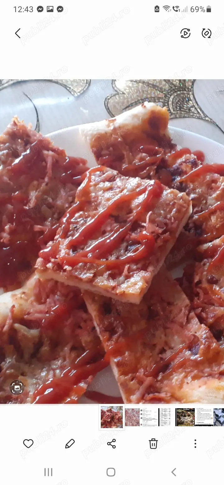 Cabana Larisa Cavnic Maramureș   