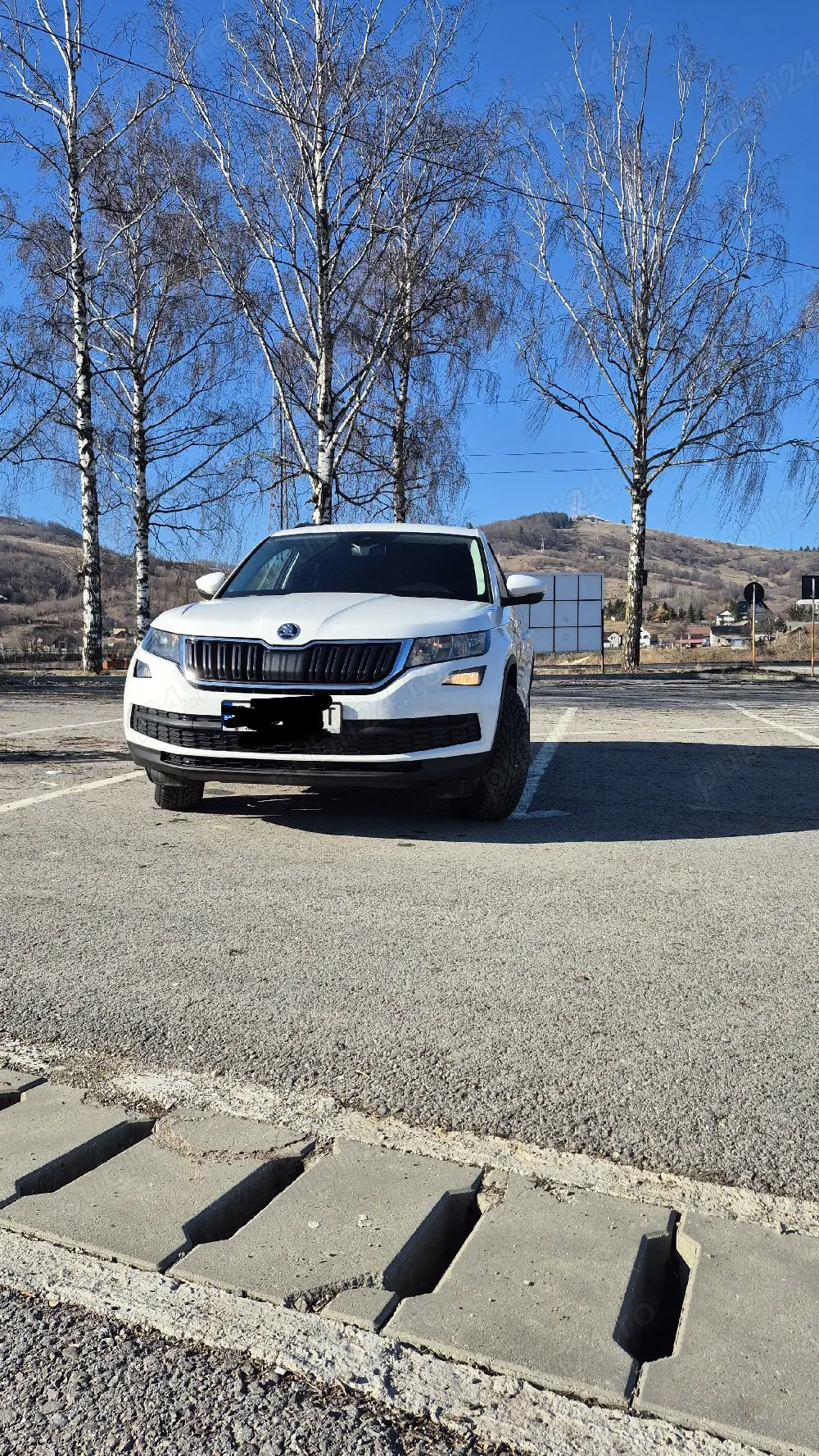 Vand Skoda Kodiaq 2,0, TDI, DGS, 2017