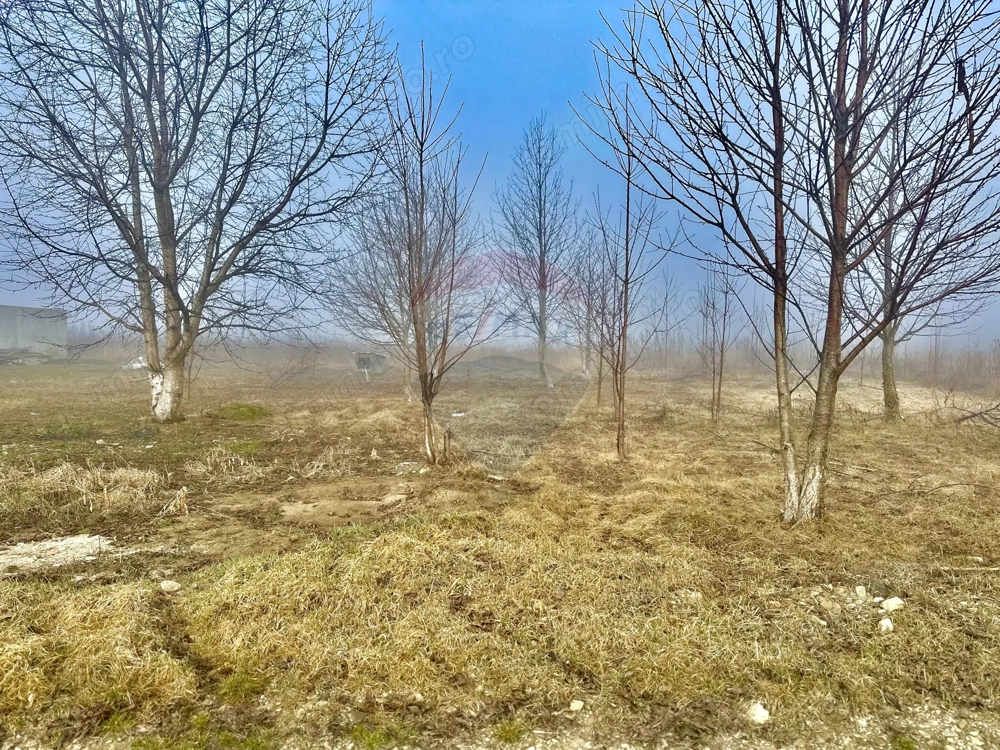 Teren 500mp Turturesti / Strada Principala