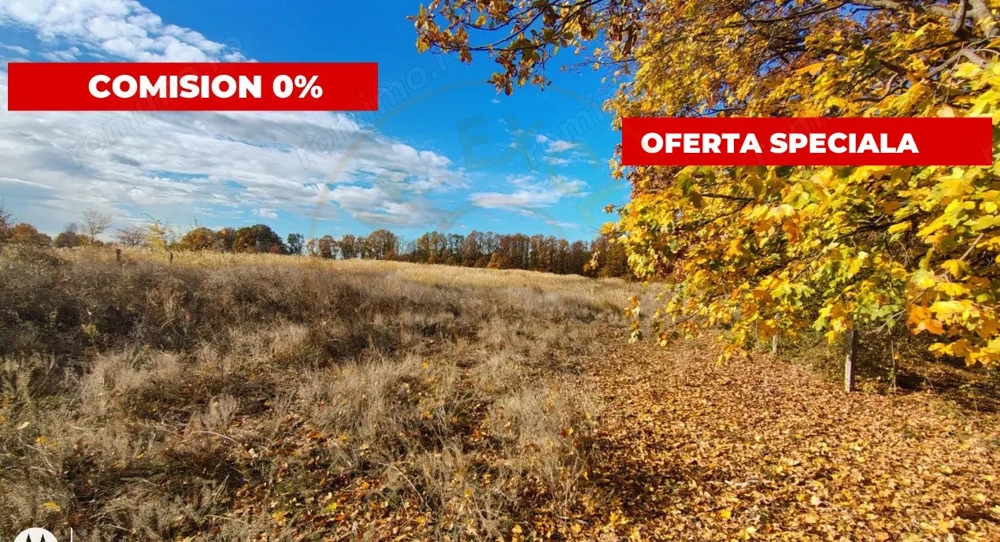 Teren Mosoaia 10200 mp intravilan 