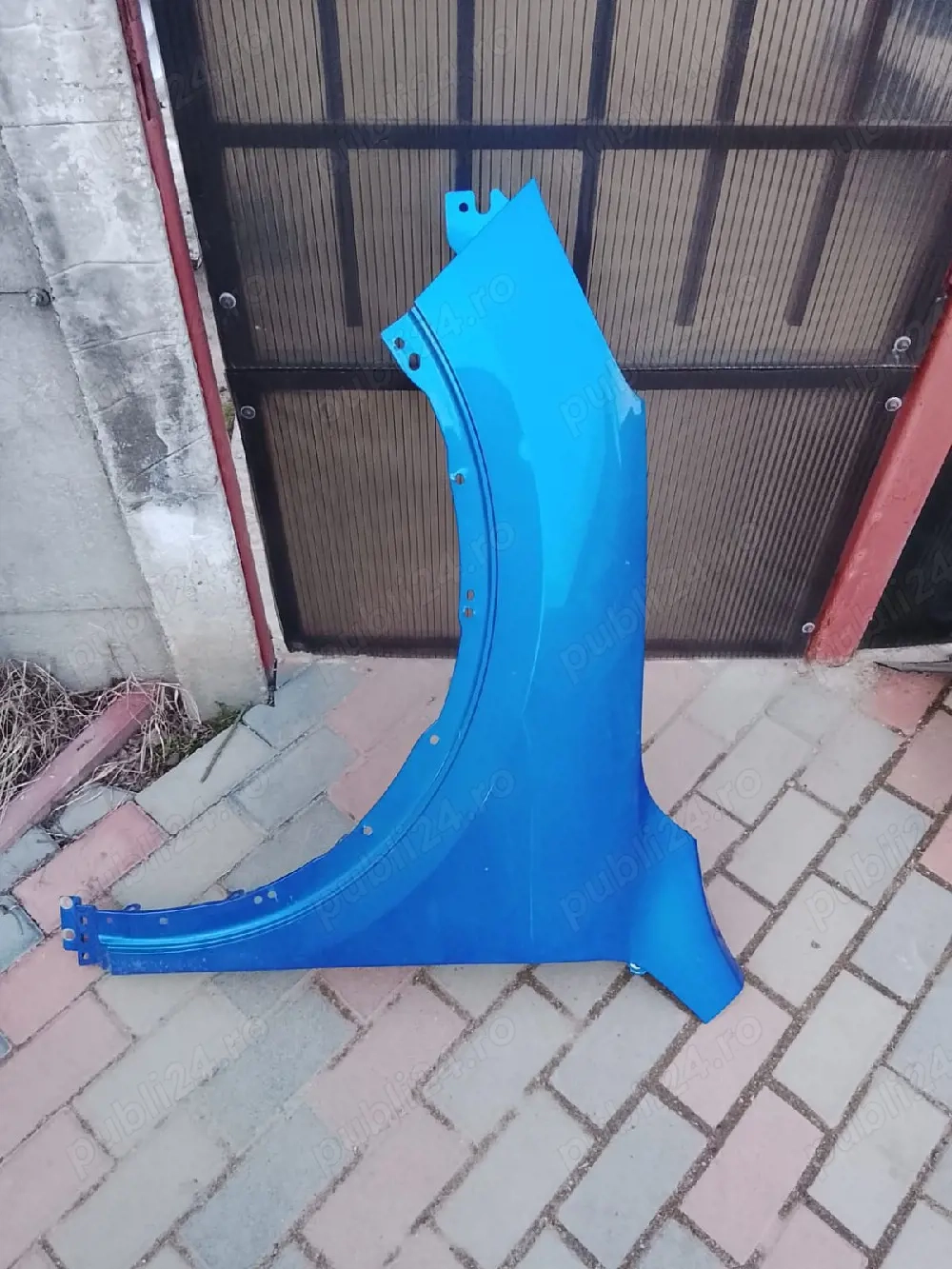 Aripa stanga fata kuga