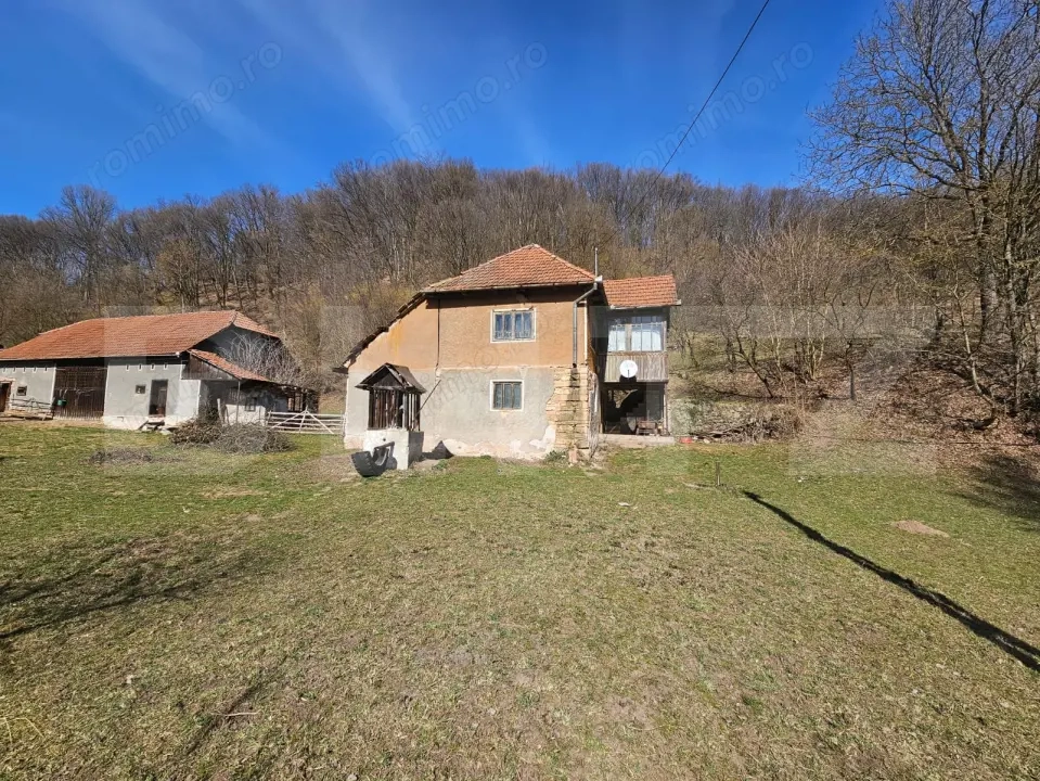 Casă cu teren generos 6.820 mp, lângă pădure și râu – Almașu Mare