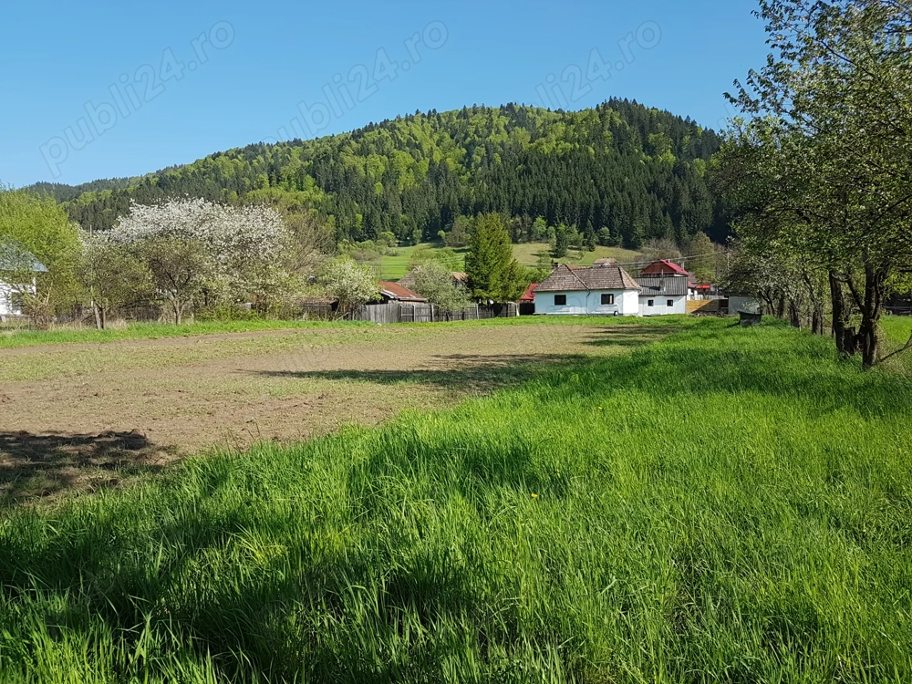 Casa batraneasca cu teren la munte, la râul Mureş