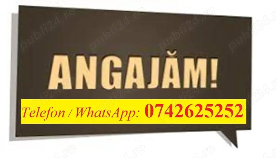 Angajare: Rigipsari   Zugravi   Slefuitor glet