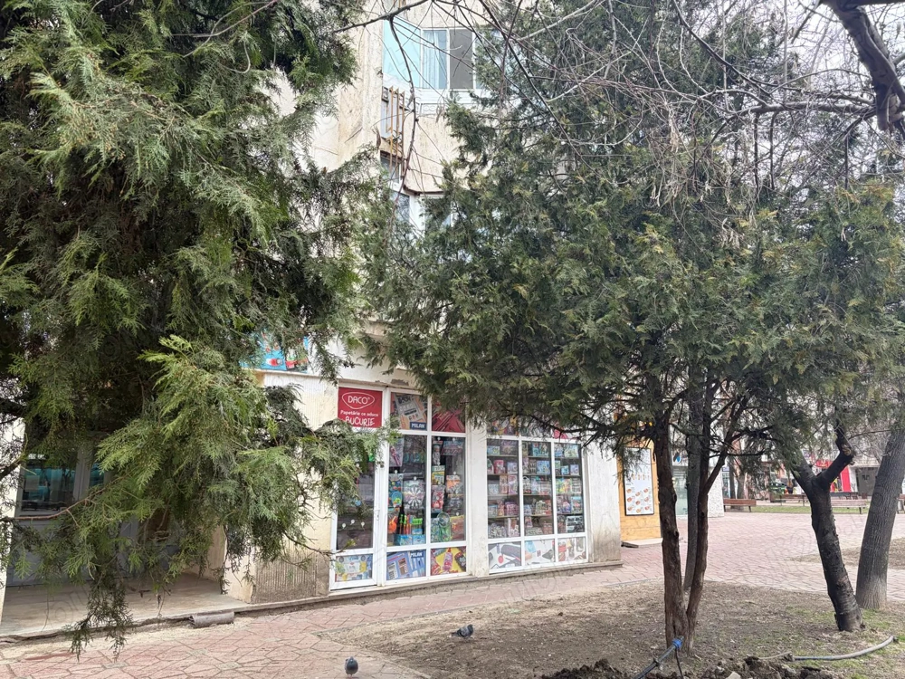 Spațiu comercial prin destinatie, 28 mp, Parcul Esplanada Nicolina, Iași
