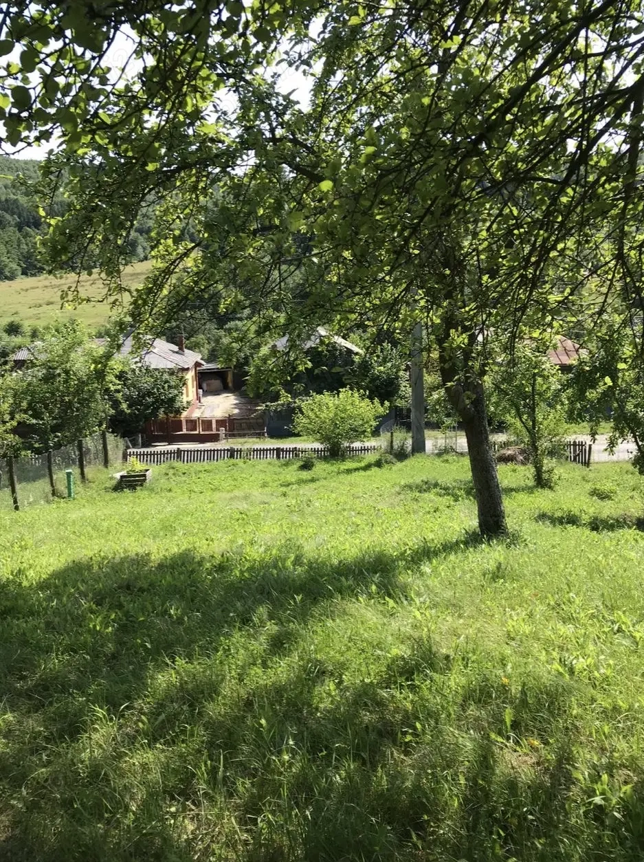 Teren Judetul Arges, comuna Babana