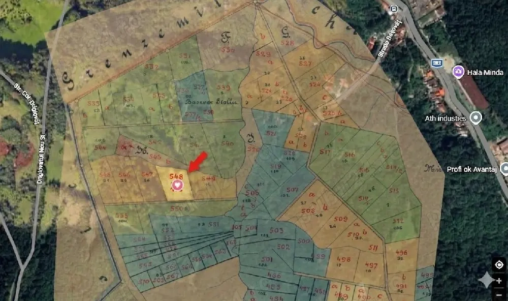     INVESTIȚIE REȘIȚA: 1.15 Hectare în Driglovăț   Natură, Intimitate și Potențial Forestier   