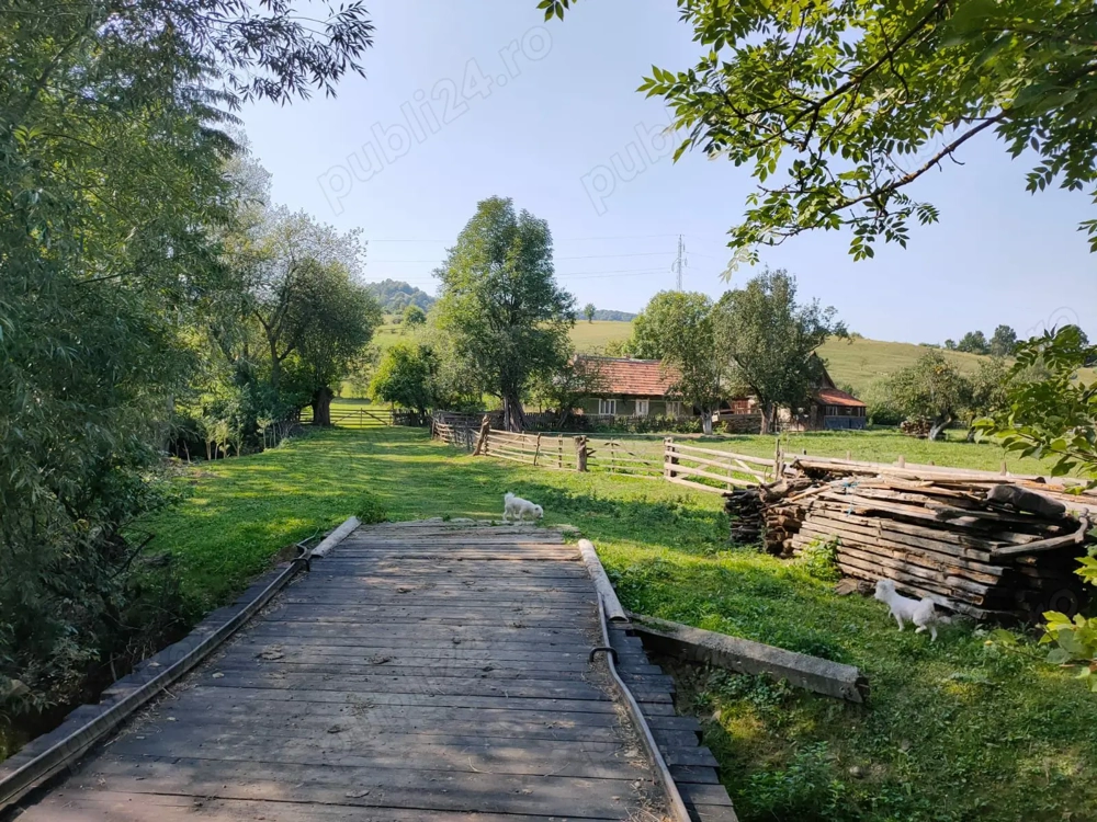 Vând teren + casă bătrânească 