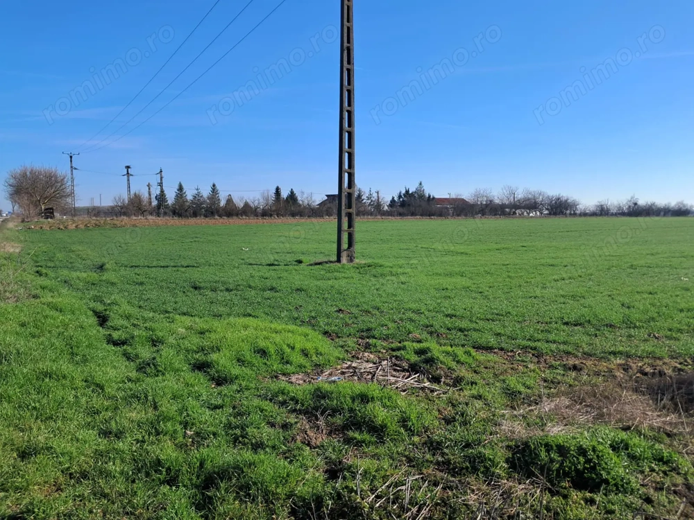 Teren intravilan, zona industriala