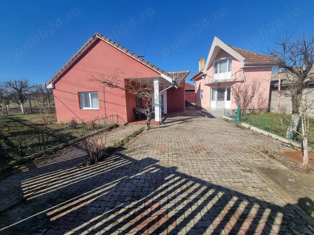 Proprietate cu 2 case și cabană,teren 1202 mp,Băcia,jud.Hunedoara